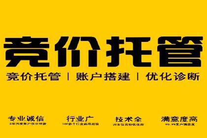 科技公司SEM推广的科技与创新